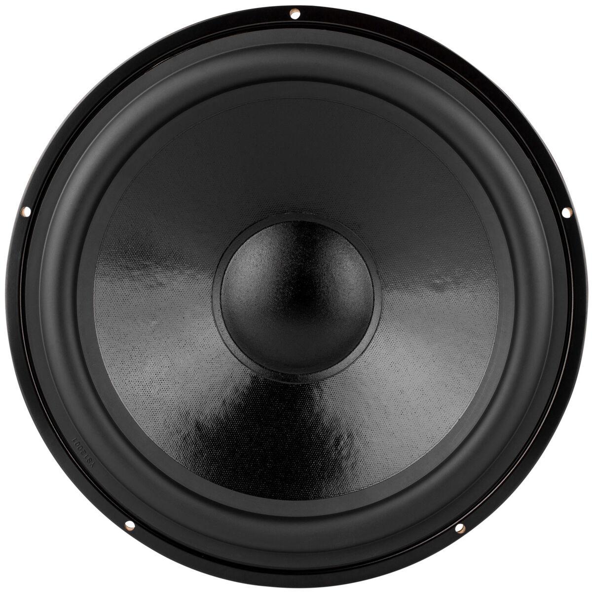 30cm パッシブラジエーター：Dayton Audio DS315-PR Dayton Audio DS315-PR 12